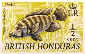 British Honduras 1 Stamp